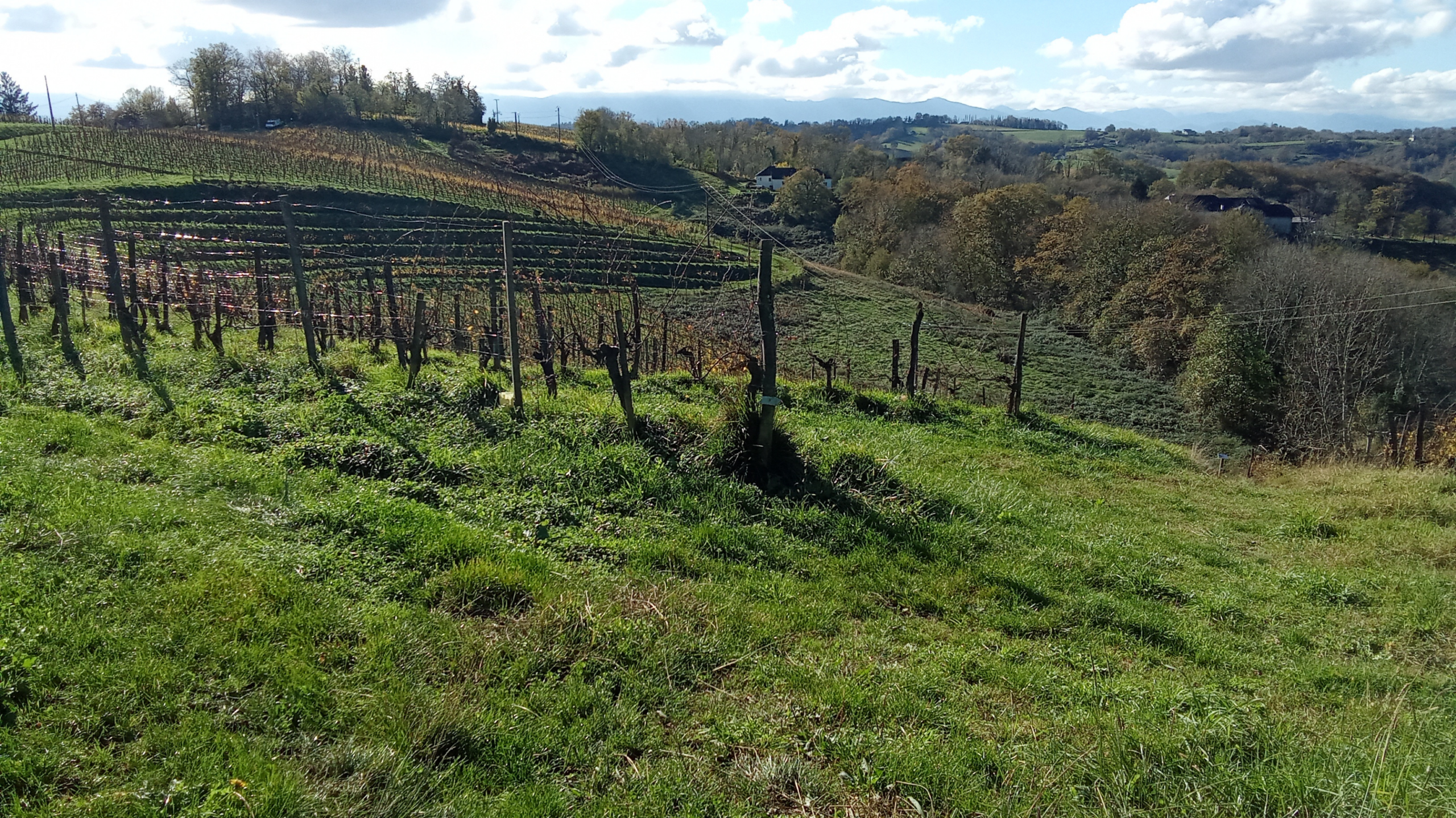 marche respirer nature contemplation ralentir